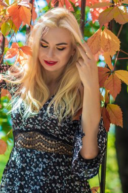 Sonbahar güneşli portresi. Renkli sarmaşıklı bir çitin yanında genç sarışın bir kadın. kısa siyah çiçekli uzun kollu elbise