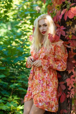 Parkta uzun kollu kırmızı-turuncu elbiseli sarışın bir kadın, renkli sonbahar yaprakları olan bir ağaca yaslanıyor..