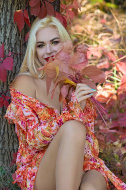 Uzun kollu kırmızı-turuncu elbiseli sarışın bir kadın sonbahar çimenlerinde oturur, renkli sonbahar yapraklarıyla bir ağaca yaslanır..