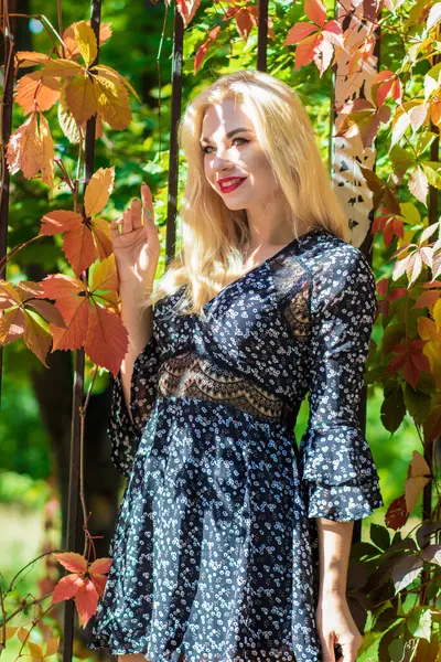 Sonbahar güneşli portresi. Renkli sarmaşıklı bir çitin yanında genç sarışın bir kadın. kısa siyah çiçekli uzun kollu elbise