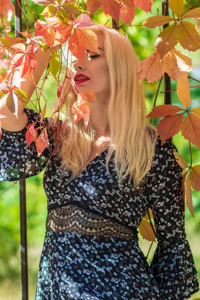 Sonbahar güneşli portresi. Renkli sarmaşıklı bir çitin yanında genç sarışın bir kadın. kısa siyah çiçekli uzun kollu elbise