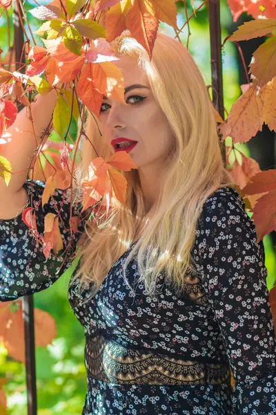 Sonbahar güneşli portresi. Renkli sarmaşıklı bir çitin yanında genç sarışın bir kadın. kısa siyah çiçekli uzun kollu elbise