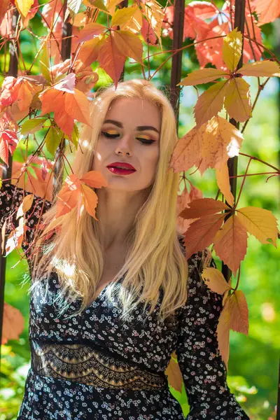 Sonbahar güneşli portresi. Renkli sarmaşıklı bir çitin yanında genç sarışın bir kadın. kısa siyah çiçekli uzun kollu elbise