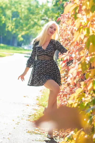 Sonbahar güneşli tam boy portresi, çitin yanında çok renkli sarmaşıklı genç sarışın bir kadın. Uzun bacaklar, kısa siyah çiçekli elbise uzun kollu, yüksek topuklu