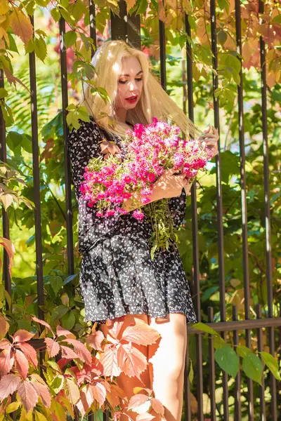 Uzun saçlı, kısa siyah elbiseli, elinde bir buket sonbahar çiçeği tutan sarışın bir kadının sonbahar portresi. Renkli sonbahar yaprakları olan bir çitin arkasında