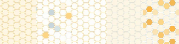 Nahtlose Hintergründe Form Von Bienenstöcken Waben — Stockvektor