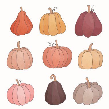 Bir takım elementler. Farklı renkte balkabakları.