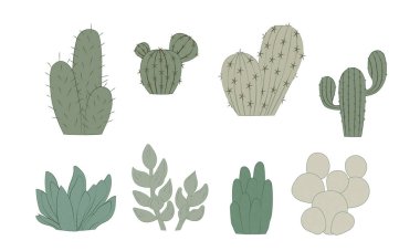 Kaktüs seti. Şirin kaktüs.