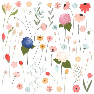 Çiçek ve yapraklar buketler için. Bahar çiçekleri