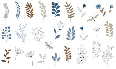 Çeşitli yaprakların vektör ögeleri