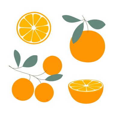 Turuncu. Beyaz arka planda izole edilmiş taze, yarım dilim portakal dilimi. Mandalina. Organik meyveler. Düz stil. Vektör illüstrasyonu