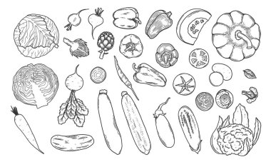Sebze çizim koleksiyonu. Havuç, biber, domates, salatalık, lahana, patates vs. El çizimi vektör çizimi çizimleri beyaz arkaplan üzerinde siyah izole.