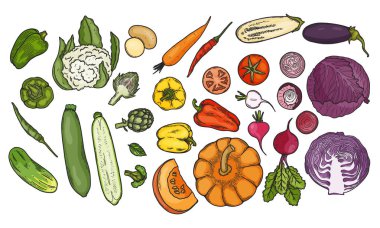 Sebze çizim koleksiyonu. Havuç, biber, domates, salatalık, lahana, patates vs. El çizimi vektör çizimi çizimleri renkli biçimdedir