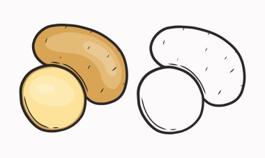 Patateslerin vektör çizimi. Tam ve patates doğra. Çizgi ve boyama. Sebze. Düz Çizim