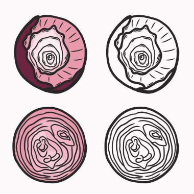 Kırmızı soğanın vektör çizimi. Soğan üst görünümü ve kesim. Çizgi ve boyama. Sebze.