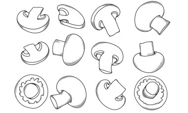 Beyaz arka planda mantar şampiyonlarının oyma vektör çizimi. Bir bütün ve dilimlenmiş şampiyonlar takımı.