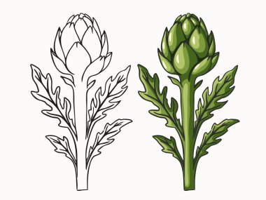 Enginar kümesi bir boyama sayfası ve basit bir stilde renkli bir sürümden oluşur