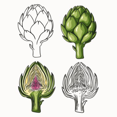 Enginar kümesi bir boyama sayfası ve basit bir stilde renkli bir sürümden oluşur