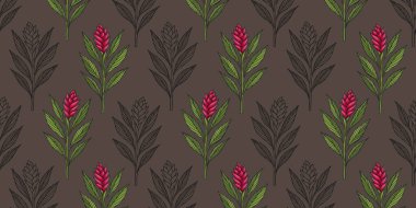 Elle çizilmiş zencefil kökü ve zencefilli bitki çizimlerinin kusursuz deseni. Renkli ve siyah-beyaz çizimler 