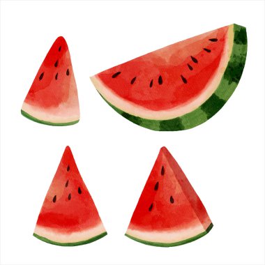 Suluboya Karpuz Dilimleri Sulu, Taze Meyve Çizimi