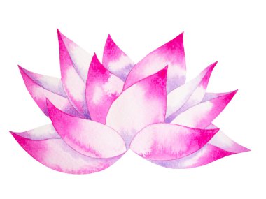 Pembe beyaz nilüfer çiçeği bitkisi su çiçeği chakra sembolü logo simgesi Reiki zihin mandala suluboya resim tasarımı izole edilmiş bütünsel enerji mandala