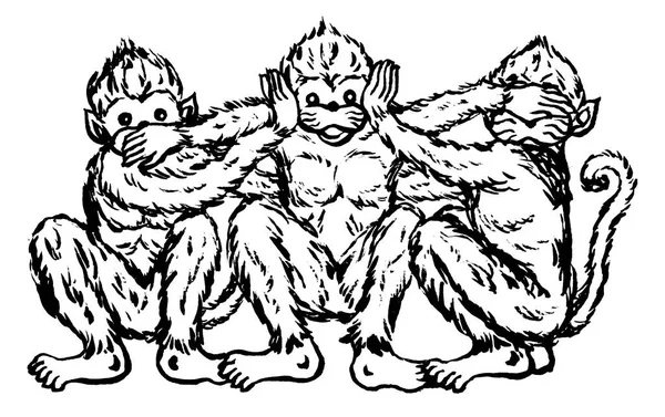 funny 3 monkeys concept, vector illustration design, hand drawn