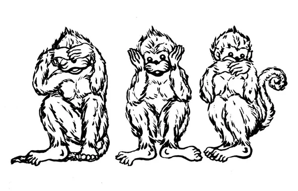 滑稽三只猴子概念 矢量图解设计 — 图库照片