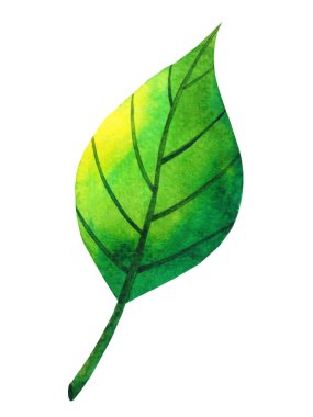 green leaf tree plant eco energy ecology nature power environmental concept save earth concept leaf shape icon logo sign symbol art watercolor painting illustration bio protect