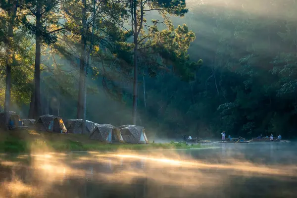 早上有雾的风景 日落前湖面有雾的景象 湖面有雾的景象 免版税图库照片