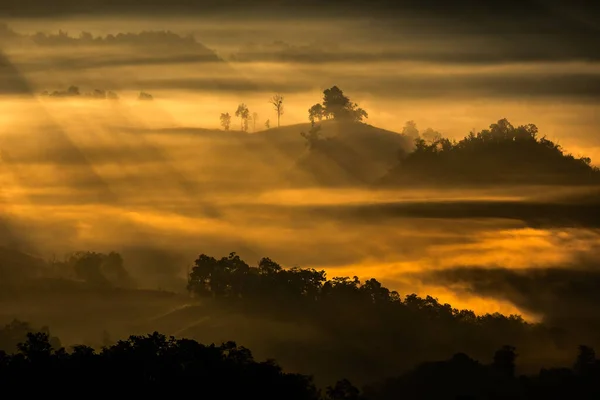 Луч Утреннего Солнца Сквозь Туман Горах Стоковое Фото