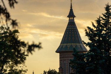 Önünde ağaçlar olan Metropolitan Ortodoks Katedrali manzarası
