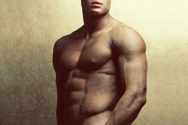 Männliche Schönheit Und Sportkonzept Porträt Eines Gut Aussehenden Muskulösen Männlichen Stockbild
