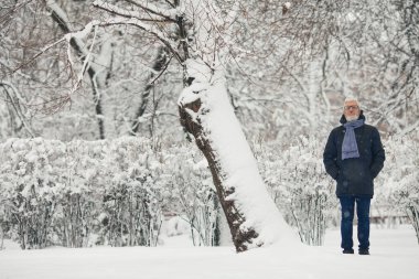 Elle teslim edilmiş, kış kıyafetleri ve kar parkında duran şık gözlüklü olgun bir adamın tam boy portresi. Metin uzayı. Açık hava çekimi