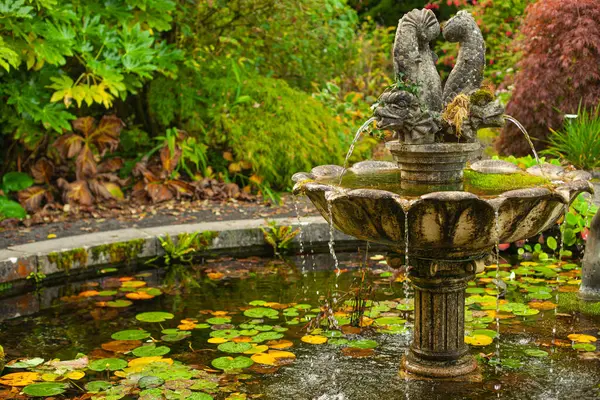 Fontaine Classique Dans Vieux Jardin Avec Belles Plantes Automne Plan — Photo