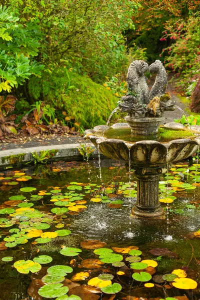 Classic Fountain Old Garden Beautiful Plants Autumn Time Outdoor Shot — Stock Photo, Image