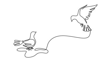 One single line of two pigeons isolated on white background.