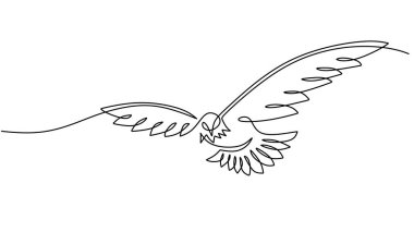 One single line of eagle isolated on white background.