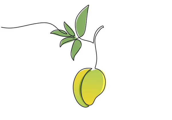 Mangue Continue Dessin Une Ligne Illustration Vectorielle Fruits — Image vectorielle