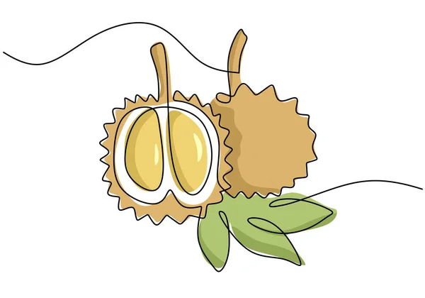Durian Aralıksız Tek Çizgi Çizimi Meyve Vektörü Illüstrasyonu — Stok Vektör