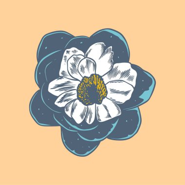 Parlak arka planda izole edilmiş pirus şakayığının el çizimi bitkisel çizimi.