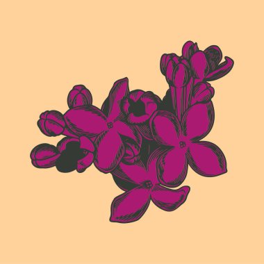 Parlak arkaplanda el çizimi çiçek botanik çizimi.