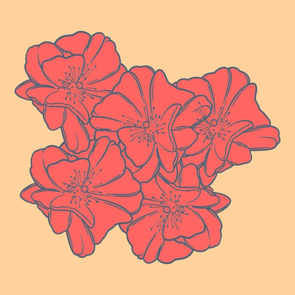 Hand Drawn Flower Botanical Drawing Sakura Isolated Bright Background — Stock Vector
