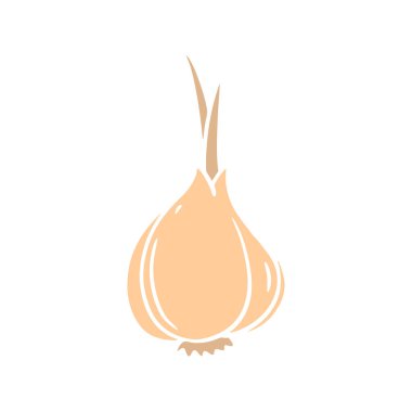 Soğan İllüzyonu el çizimi. Vektör gıda objesi. Beyaz arkaplanda izole.