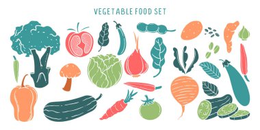 Sebze çizim seti. Brokoli, domates, bezelye ve daha fazlası gibi sağlıklı yiyecekler. Vektör el renkli tasarım.