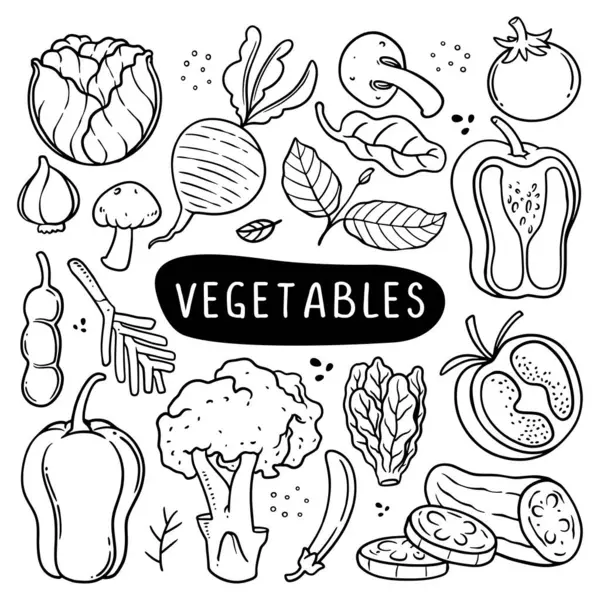 stock vector Vegetable doodle drawing set. A diverse assortment of vegetables, including cabbage, beetroot, spinach leaves, and more. Perfect for promoting healthy lifestyle choices. Black line art hand drawn