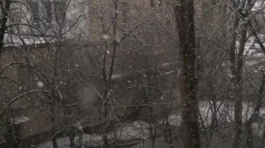 Baharda şehre kar yağar. Baharda kar yağışı yavaş çekimde.