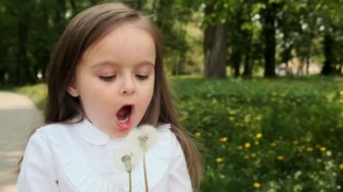 Esmer kız karahindiba üflüyor. Açık hava, kapatın. Yavaş çekim.