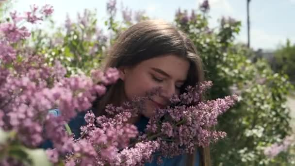 Schöne Junge Frau Umgeben Von Fliederfarbenen Blumen Frühlingsblüte — Stockvideo