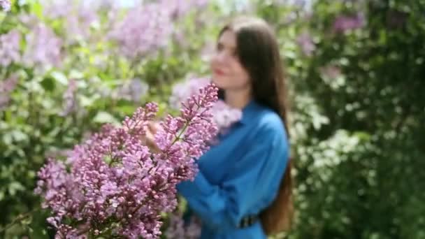 Porträt Einer Schönen Jungen Frau Umgeben Von Fliederfarbenen Blumen Frühlingsblüte — Stockvideo