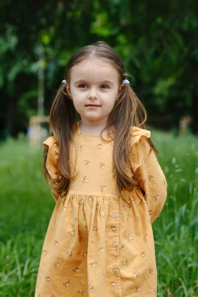 Bir Bahar Parkında Küçük Şirin Bir Anaokulu Kızının Portresi — Stok fotoğraf